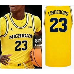 Men Michigan Wolverines Yaxel Lendeborg #23 Jordan Stitched Yellow Jersey