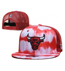 Chicago Bulls Snapback Cap 24E21