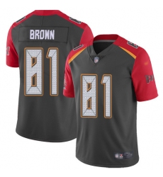 Nike Tampa Bay Buccaneers 81 Antonio Brown Gray Men Stitched NFL Limited Inverted Legend Jersey