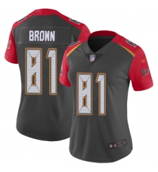 Women Nike Tampa Bay Buccaneers 81 Antonio Brown Gray Women Stitched NFL Limited Inverted Legend Jersey
