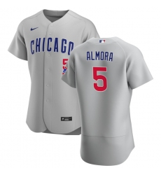 Men Chicago Cubs 5 Albert Almora Jr  Men Nike Gray Road 2020 Flex Base Team Jersey