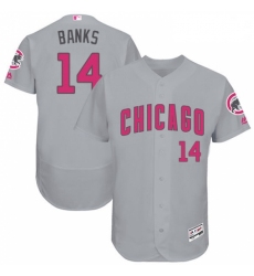 Mens Majestic Chicago Cubs 14 Ernie Banks Grey Mothers Day Flexbase Authentic Collection MLB Jersey