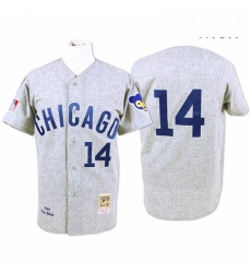 Mens Mitchell and Ness Chicago Cubs 14 Ernie Banks Authentic Grey Throwback MLB Jersey