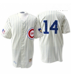 Mens Mitchell and Ness Chicago Cubs 14 Ernie Banks Replica White Throwback MLB Jersey