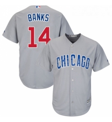 Youth Majestic Chicago Cubs 14 Ernie Banks Authentic Grey Road Cool Base MLB Jersey