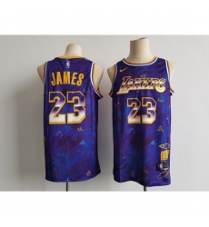 Men's Los Angeles Lakers #23 LeBron James Purple Mvp Rookie Of The Year Select Series Jersey