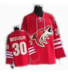 cheap Phoenix Coyotes jersey #30 BRYZGALOV jersey red