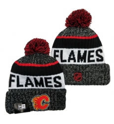 Calgary Flames NHL Beanies 003