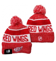 Detroit Red Wings Beanies 102