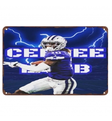 Dallas Cowboys Aluminum Sign 12x8 Inch CeeDee Lamb 002