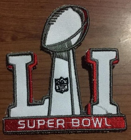 NFL Super Bowl Falcons Biaog