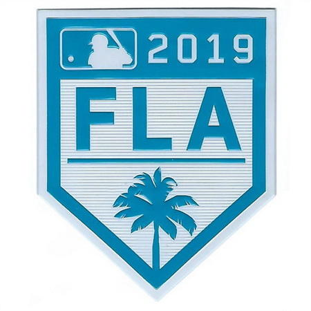 Youth 2019 Grapefruit League MLB Spring Training TPU EmbossTech Jersey Patch Biaog
